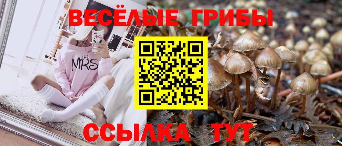 Галлюциногенные грибы мухоморы  Вход с VPN  Гулькевичи 