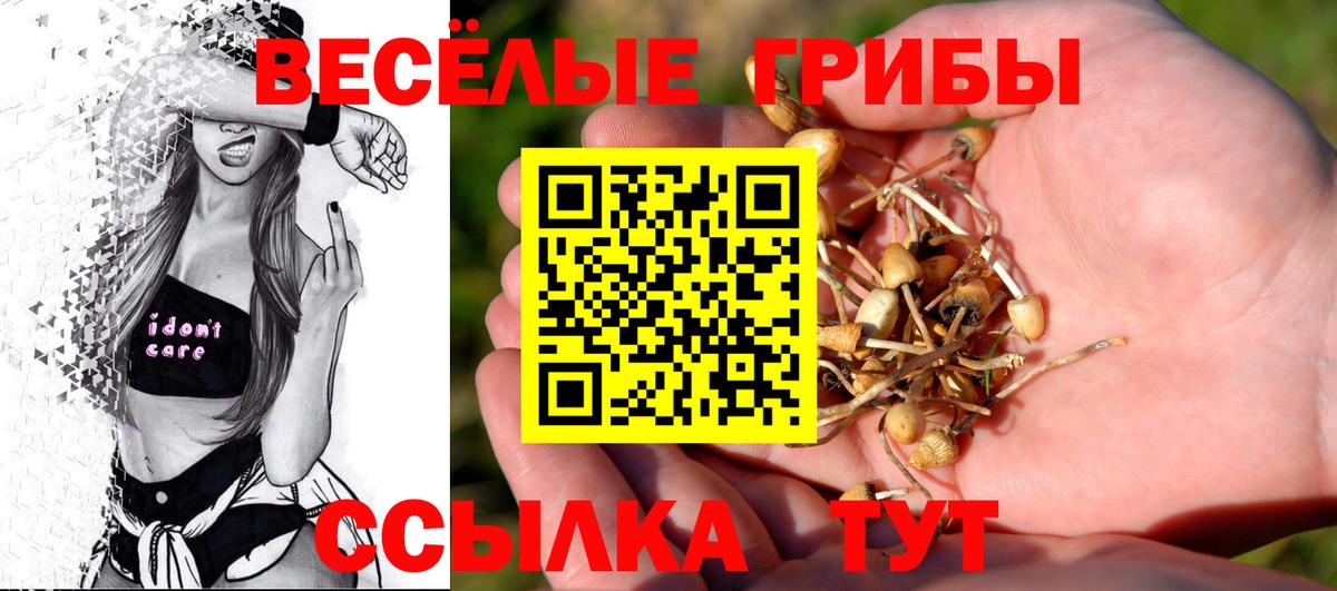 Галлюциногенные грибы прущие грибы Гулькевичи